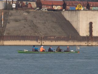 Ruderer am Rhein