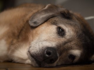 Tokina AT-X 35-70mm f2.8