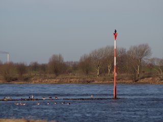 Rhein