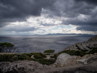 Olympus Zuiko MC Auto-W 24mm f2.8