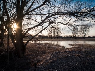 Carl Zeiss Jena Flektogon 20mm f4