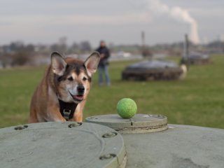 Minolta MD 50mm f1.4