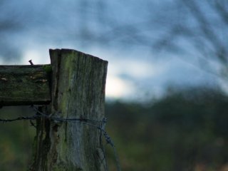Nikon Nikkor AI-S 85mm f2