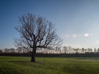 Carl Zeiss Jena Flektogon 20mm f4