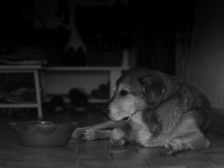Auto Revuenon 55mm f1.4 @f4