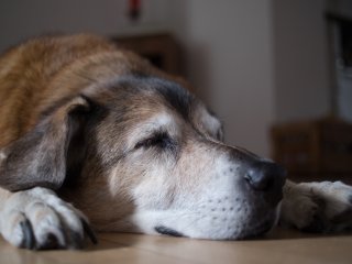 Olympus G.Zuiko Auto-W 35mm f2.8