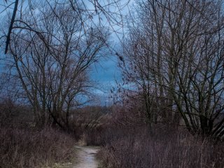 Olympus Auto-Zoom 50-90mm f3.5