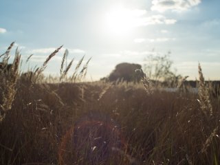 Tokina AT-X 28-85mm f3.5-4.5