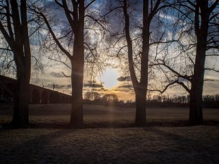 Carl Zeiss Jena Flektogon 20mm f4
