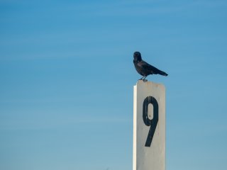 Olympus Auto-Zoom 50-90mm f3.5