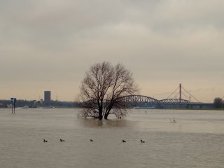 Tokina AT-X 35-70mm f2.8