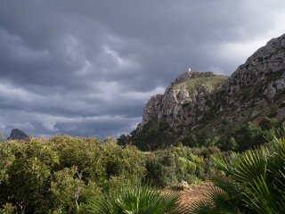 Olympus Zuiko MC Auto-W 24mm f2.8