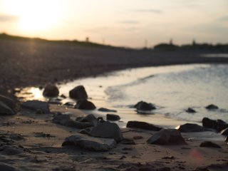 Yashica ML 50mm f1.4