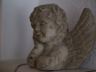 Nikkor P-Auto 105mm f2.5