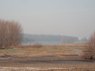 Landschaft