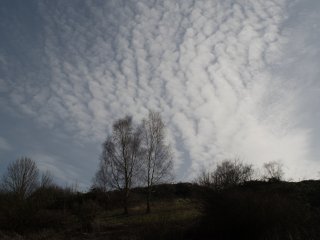 Olympus Zuiko MC Auto-W 28mm f2