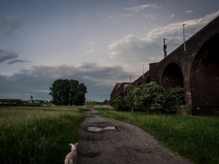 Canon FD 24mm f2.8 S.S.C.