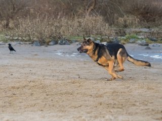 Olympus Auto-Zoom 50-90mm f3.5