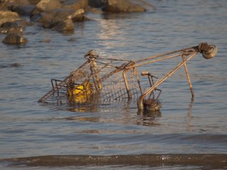 Einkaufswagen im Rhein