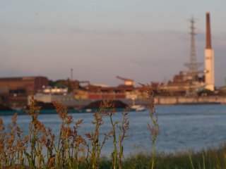 Minolta MD Rokkor 50mm f1.4