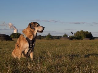 Tokina AT-X 28-85mm f3.5-4.5