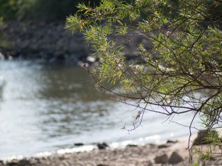 Pentax-M SMC Zoom 80-200mm f4.5
