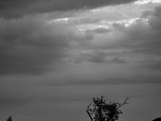 Nikkor P-Auto 105mm f2.5