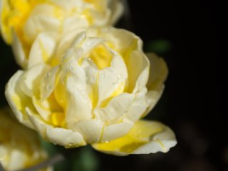 Tokina AT-X 28-85mm f3.5-4.5
