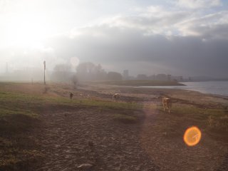 Vivitar Auto Wide-Angle 24mm f2