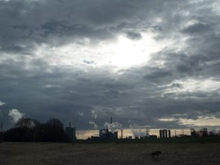 Canon FD 24mm f2.8 S.S.C.
