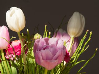 Blumenstrauß