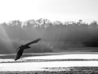 A. Schacht Ulm Travenar 90mm f2.8 R