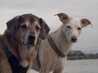 Sammi & Hazel