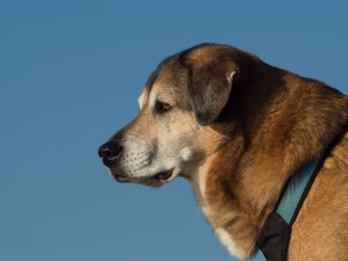 Minolta MD Zoom 75-200mm f4.5