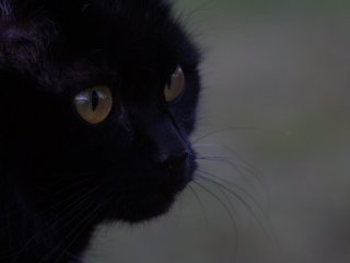 Minolta MD Zoom 70-210mm f4