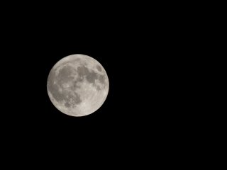 Canon FD 300mm f5.6 S.S.C.