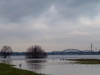 Tokina AT-X 35-70mm f2.8