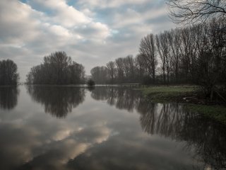 Carl Zeiss Jena Flektogon 20mm f4