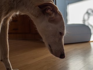 Olympus G.Zuiko Auto-W 28mm f3.5