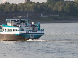 Vivitar Auto Telephoto 300mm f5.6