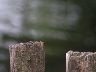 Asahi SMC Takumar 150mm f4