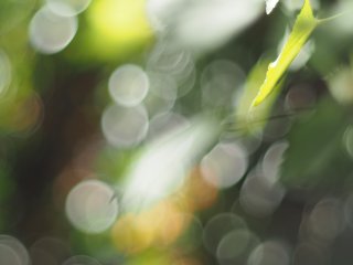 Minolta MC Rokkor PF 58mm f1.4