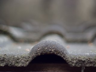 Minolta MD Rokkor 50mm f1.4