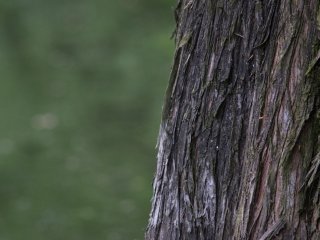 Asahi SMC Takumar 150mm f4