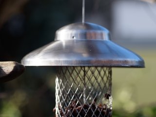 Tamron SP 90mm f2.5 52BB